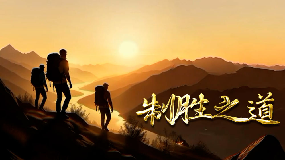 课题研究：精准选题，高效提炼——中小学教育科研的制胜之道